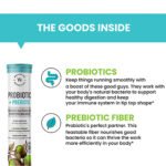 wellbeing_nutrition_probiotic_prebiotic_effervescent_tablet_pack_of_2_x_21s_1_0.jpg